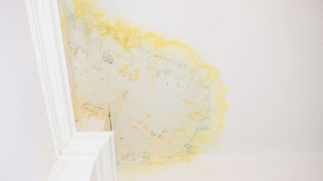 tető beázás javítása profi csapattal