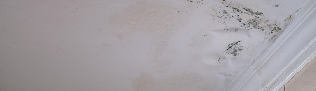 Tető beázás javítás lépésről lépésre - gyors hibaelhárítás Tető beázás javítás előtt - mennyezeti foltok és penész nyomai