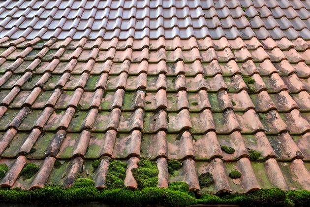 Országos tetőtisztítás és tetőmosás.